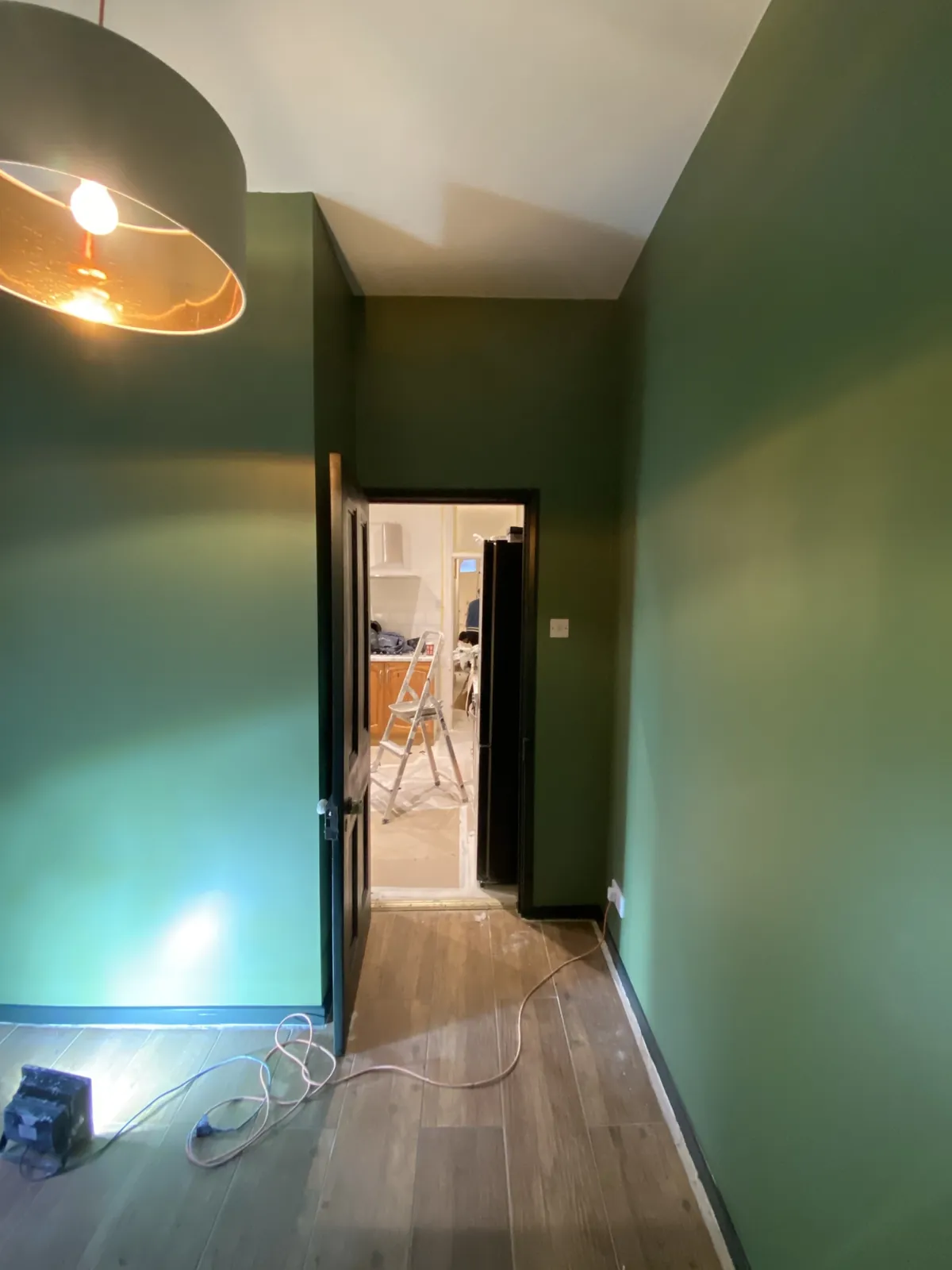 Hallway walls in dark green, Kensington