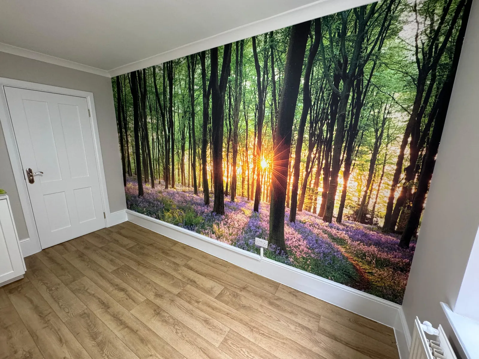 Bluebell forest mural hung wall to wall, Hampstead