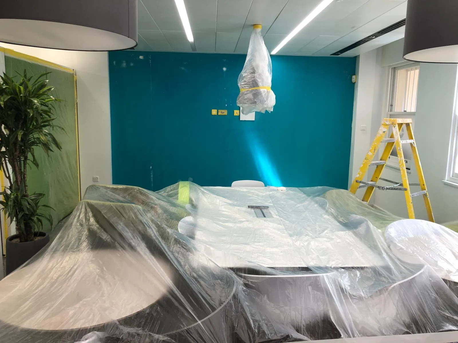 Office in progress, teal wall, everything sheeted, Central London