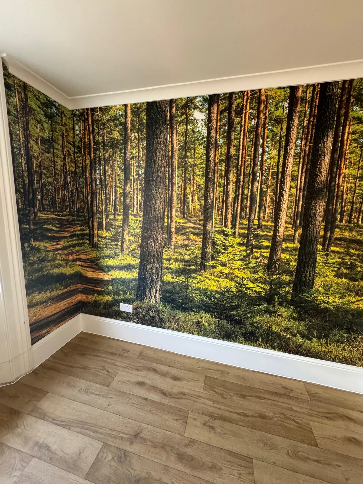 Forest mural installed, Hampstead
